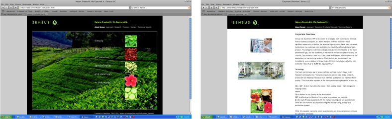Sensus Flavors Web Site - Home page and typical page